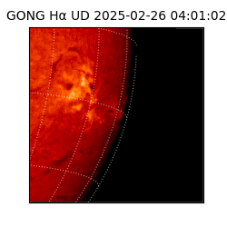 gong - 2025-02-26T04:01:02