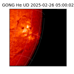 gong - 2025-02-26T05:00:02