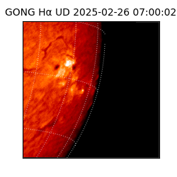 gong - 2025-02-26T07:00:02