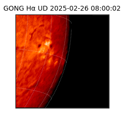 gong - 2025-02-26T08:00:02