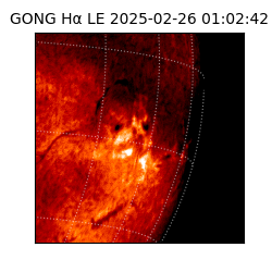 gong - 2025-02-26T01:02:42