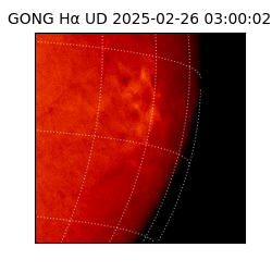 gong - 2025-02-26T03:00:02
