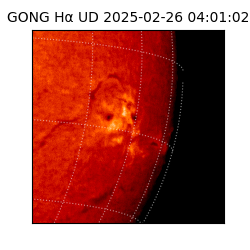gong - 2025-02-26T04:01:02