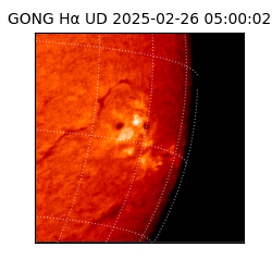 gong - 2025-02-26T05:00:02