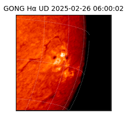 gong - 2025-02-26T06:00:02