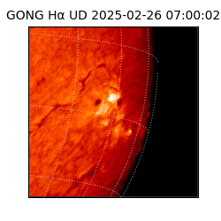 gong - 2025-02-26T07:00:02