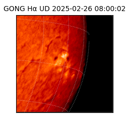 gong - 2025-02-26T08:00:02