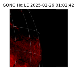 gong - 2025-02-26T01:02:42