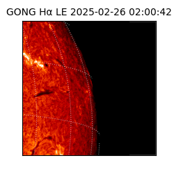gong - 2025-02-26T02:00:42