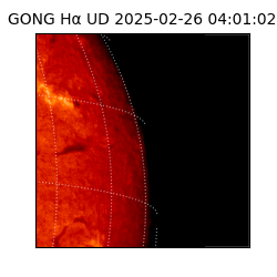 gong - 2025-02-26T04:01:02
