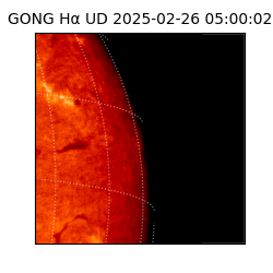 gong - 2025-02-26T05:00:02