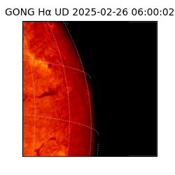 gong - 2025-02-26T06:00:02