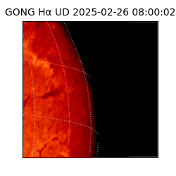 gong - 2025-02-26T08:00:02