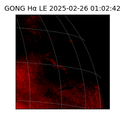 gong - 2025-02-26T01:02:42