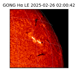 gong - 2025-02-26T02:00:42