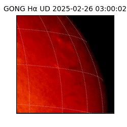 gong - 2025-02-26T03:00:02
