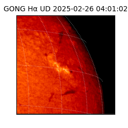 gong - 2025-02-26T04:01:02