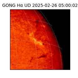 gong - 2025-02-26T05:00:02