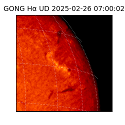 gong - 2025-02-26T07:00:02