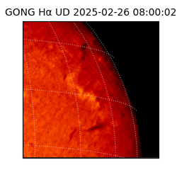 gong - 2025-02-26T08:00:02