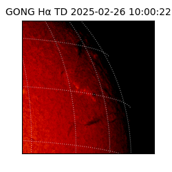 gong - 2025-02-26T10:00:22