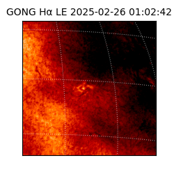 gong - 2025-02-26T01:02:42