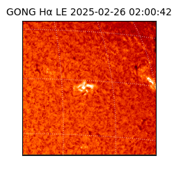 gong - 2025-02-26T02:00:42