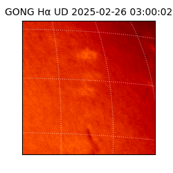 gong - 2025-02-26T03:00:02