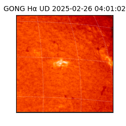 gong - 2025-02-26T04:01:02