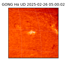 gong - 2025-02-26T05:00:02