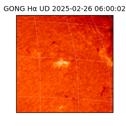 gong - 2025-02-26T06:00:02