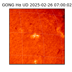 gong - 2025-02-26T07:00:02