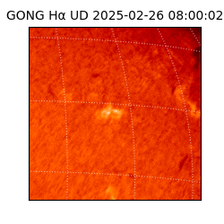 gong - 2025-02-26T08:00:02