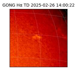 gong - 2025-02-26T14:00:22