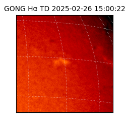 gong - 2025-02-26T15:00:22