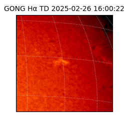 gong - 2025-02-26T16:00:22