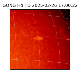 gong - 2025-02-26T17:00:22