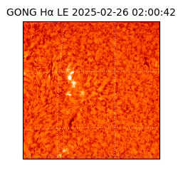 gong - 2025-02-26T02:00:42