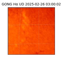 gong - 2025-02-26T03:00:02