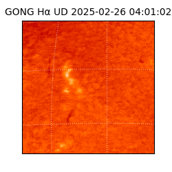gong - 2025-02-26T04:01:02