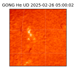 gong - 2025-02-26T05:00:02