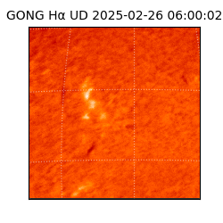 gong - 2025-02-26T06:00:02