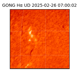 gong - 2025-02-26T07:00:02