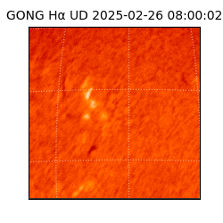 gong - 2025-02-26T08:00:02