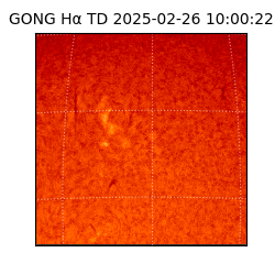 gong - 2025-02-26T10:00:22