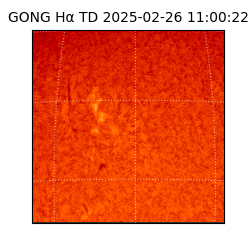 gong - 2025-02-26T11:00:22