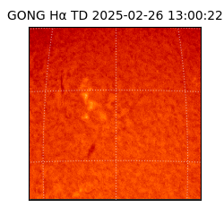 gong - 2025-02-26T13:00:22