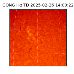 gong - 2025-02-26T14:00:22