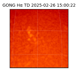 gong - 2025-02-26T15:00:22