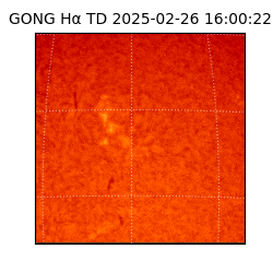 gong - 2025-02-26T16:00:22